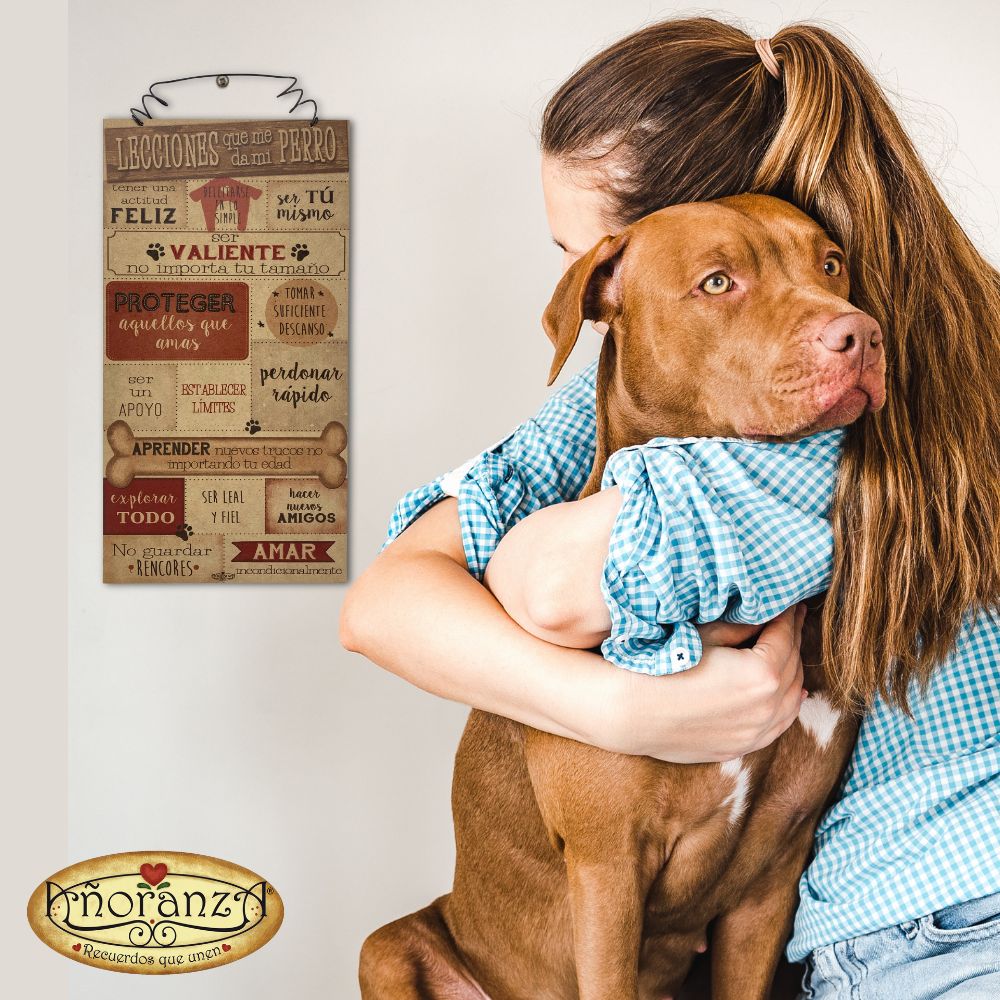 Regalo para amntes de los perros/ Decoración para clinica veterinaria/ Lecciones que me da mi Perro